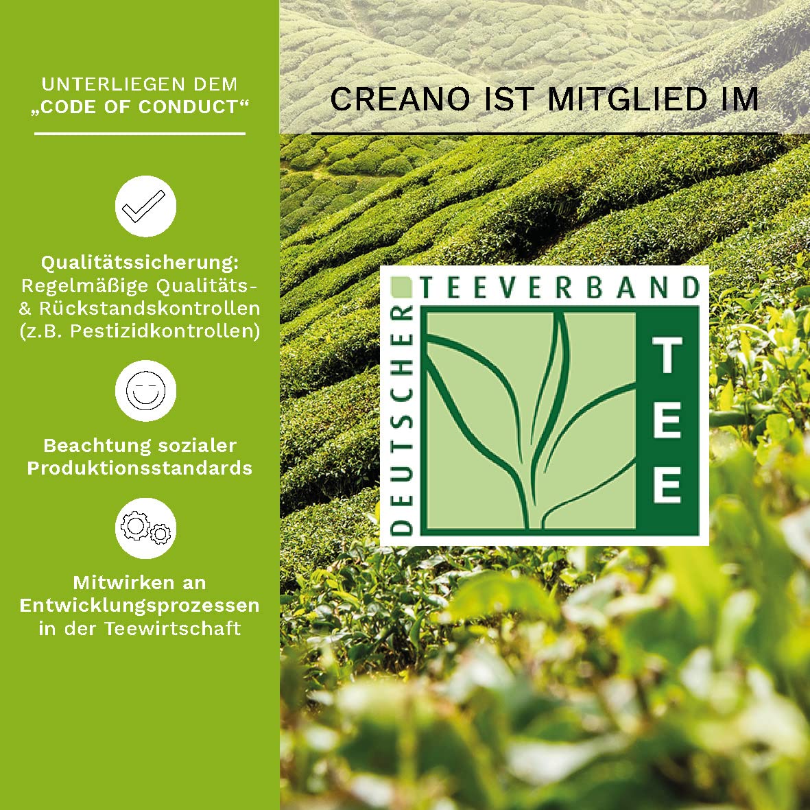 Creano Teeblumen Geschenkset Erblühtee Mit Glaskanne - Grüner Tee Fruchtig Aromatisiert (Teerosen in 6 Sorten), Blooming Tea, Tee Geschenk Zu Weihnachten Für Frauen, Teeliebhaber