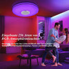 36W LED Deckenleuchte Dimmbar Mit Bluetooth Lautsprecher, Fernbedienung Und App-Steuerung, LED Deckenlampe Mit RGB Farbwechsel, Musik Für Schlafzimmer Kinderzimmer Wohnzimmer