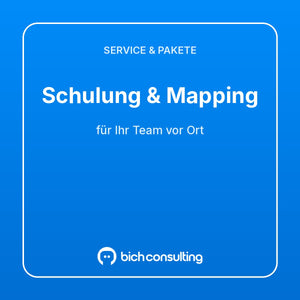 Schulung & Mapping vor Ort